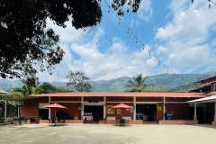 Molienda-dia
